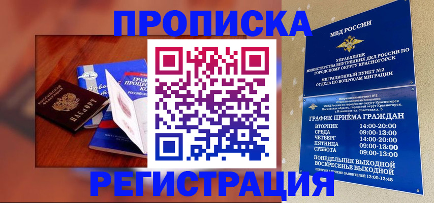 временная регистрация для школы в Михайловке